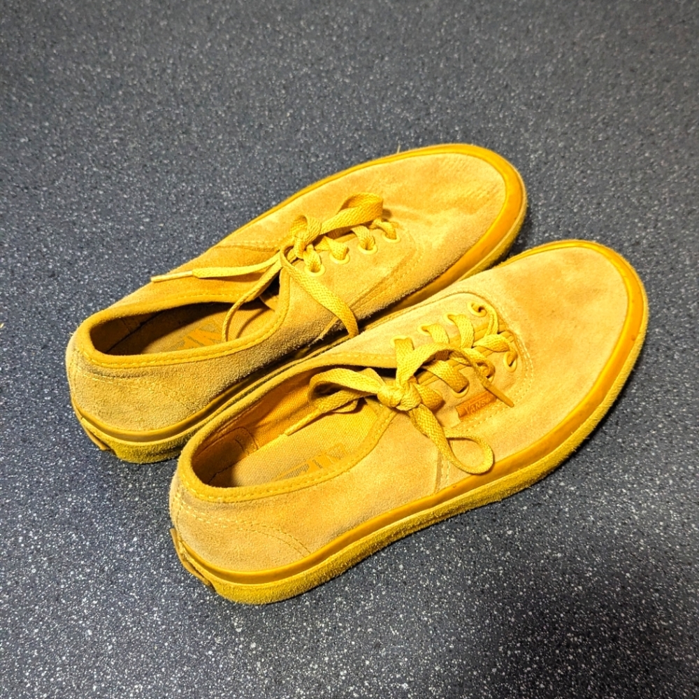 Van's Suede Shoes USW 7/USM 5.5
